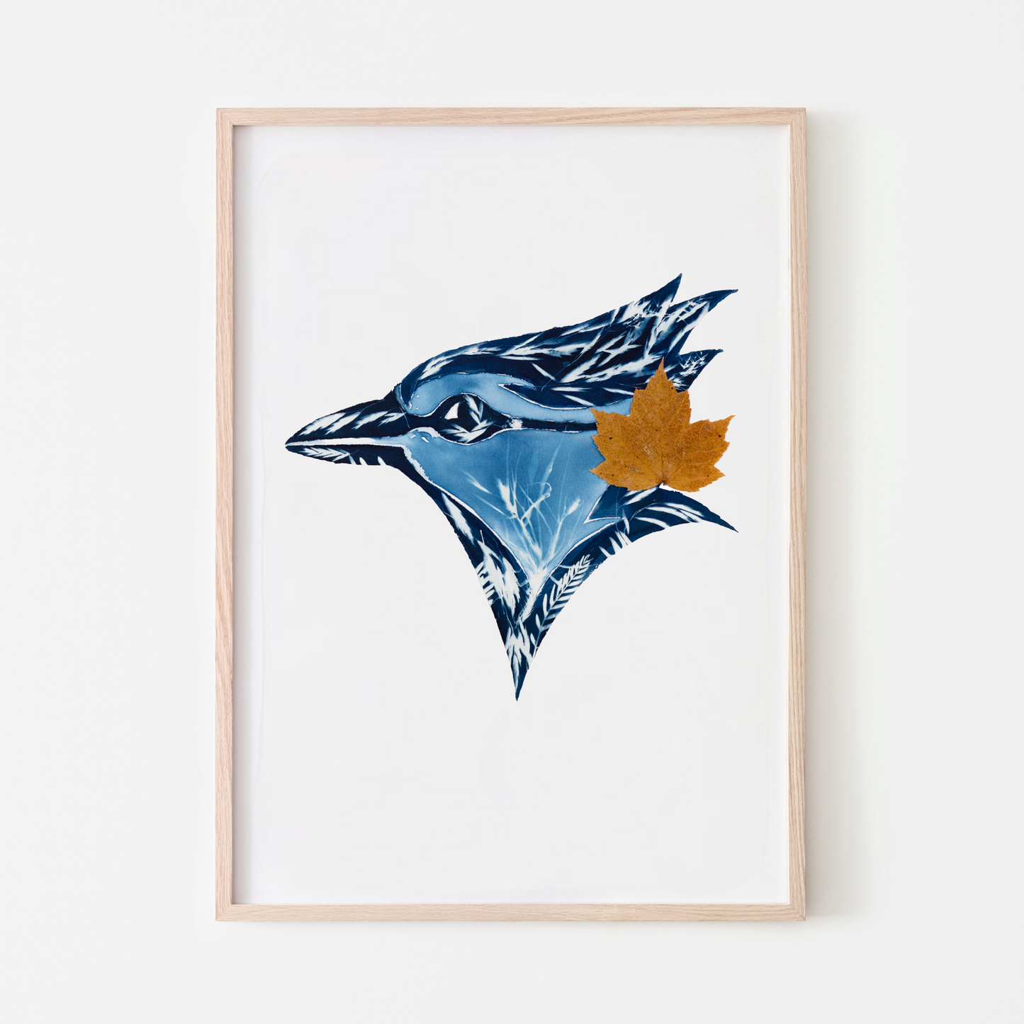 Blue Jay