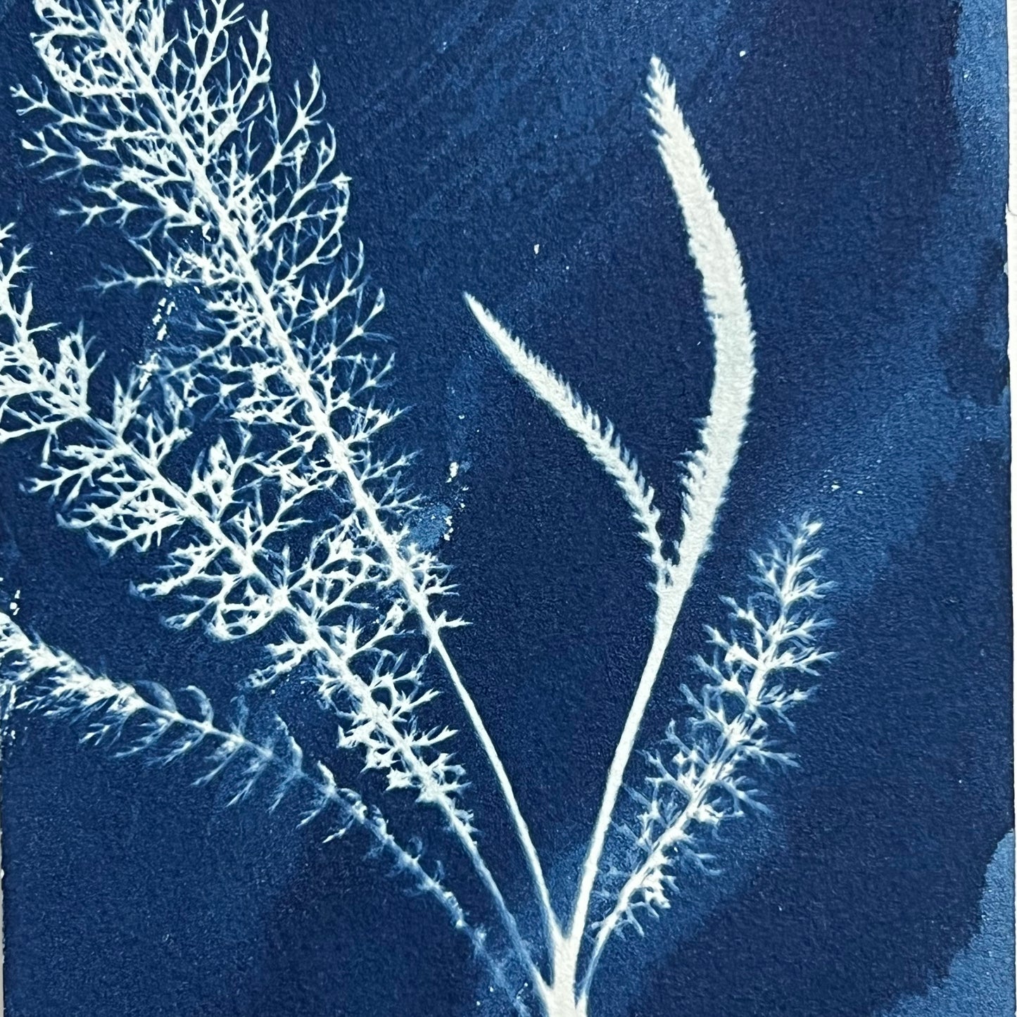 Resilient Whispers I