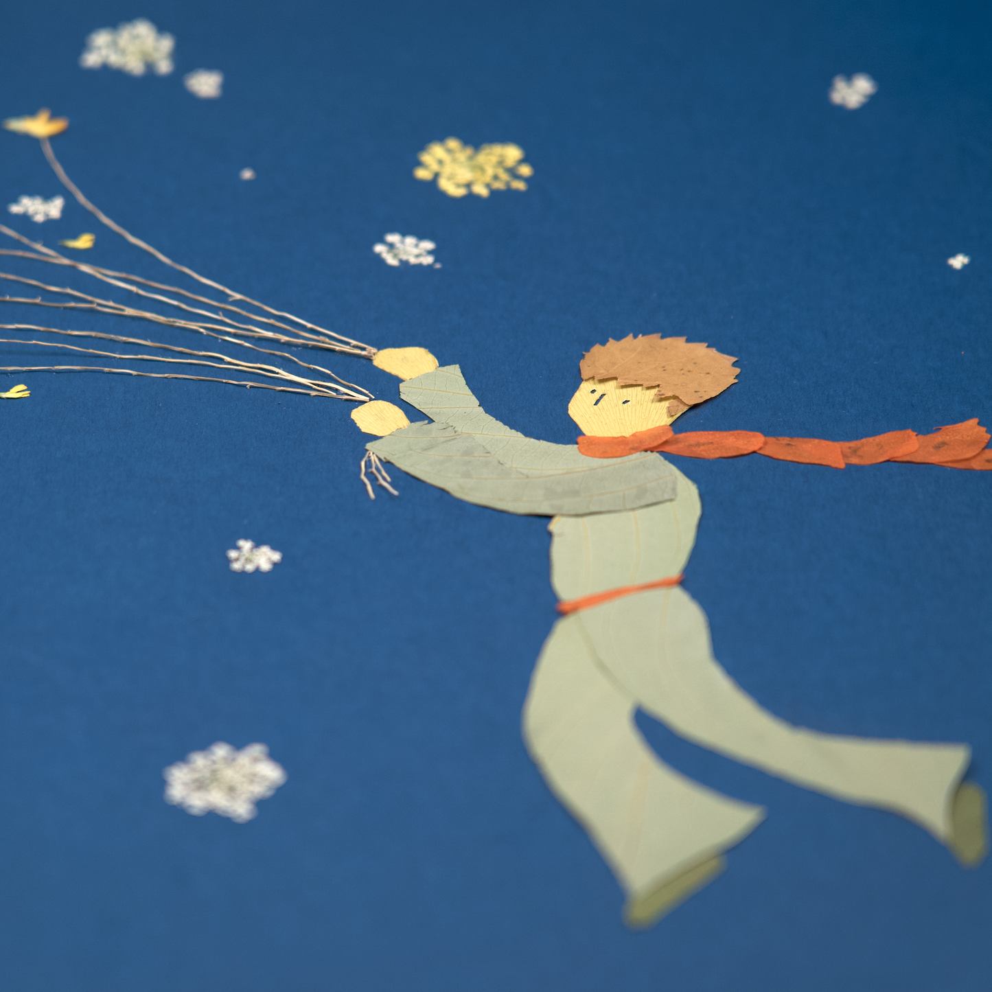 Flying With Birds