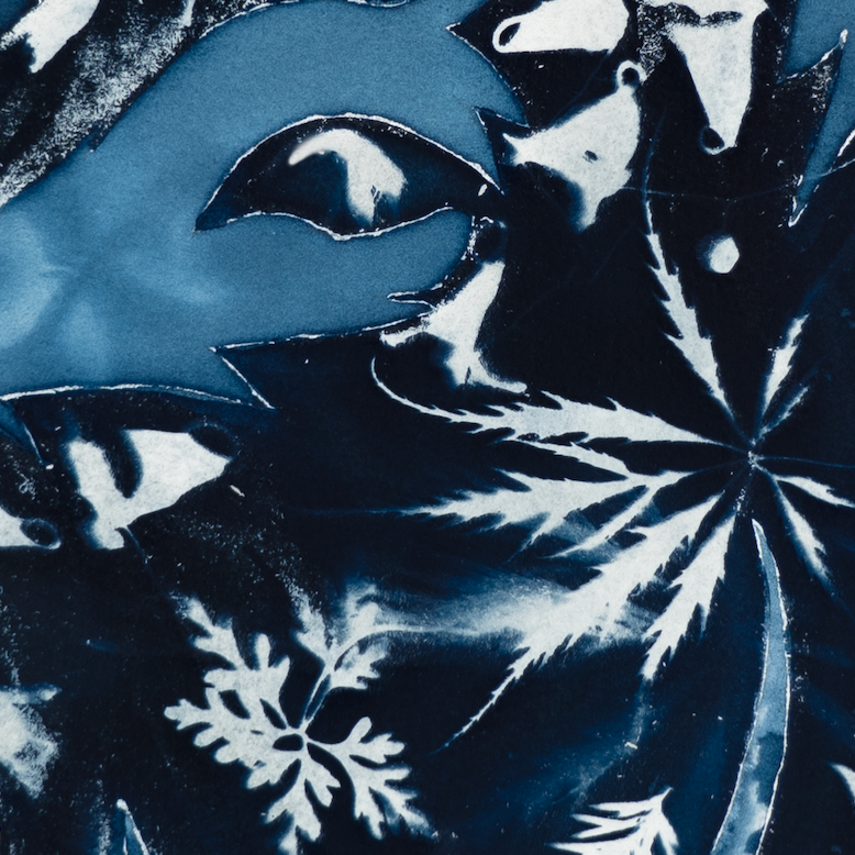 Flora or Fauna III