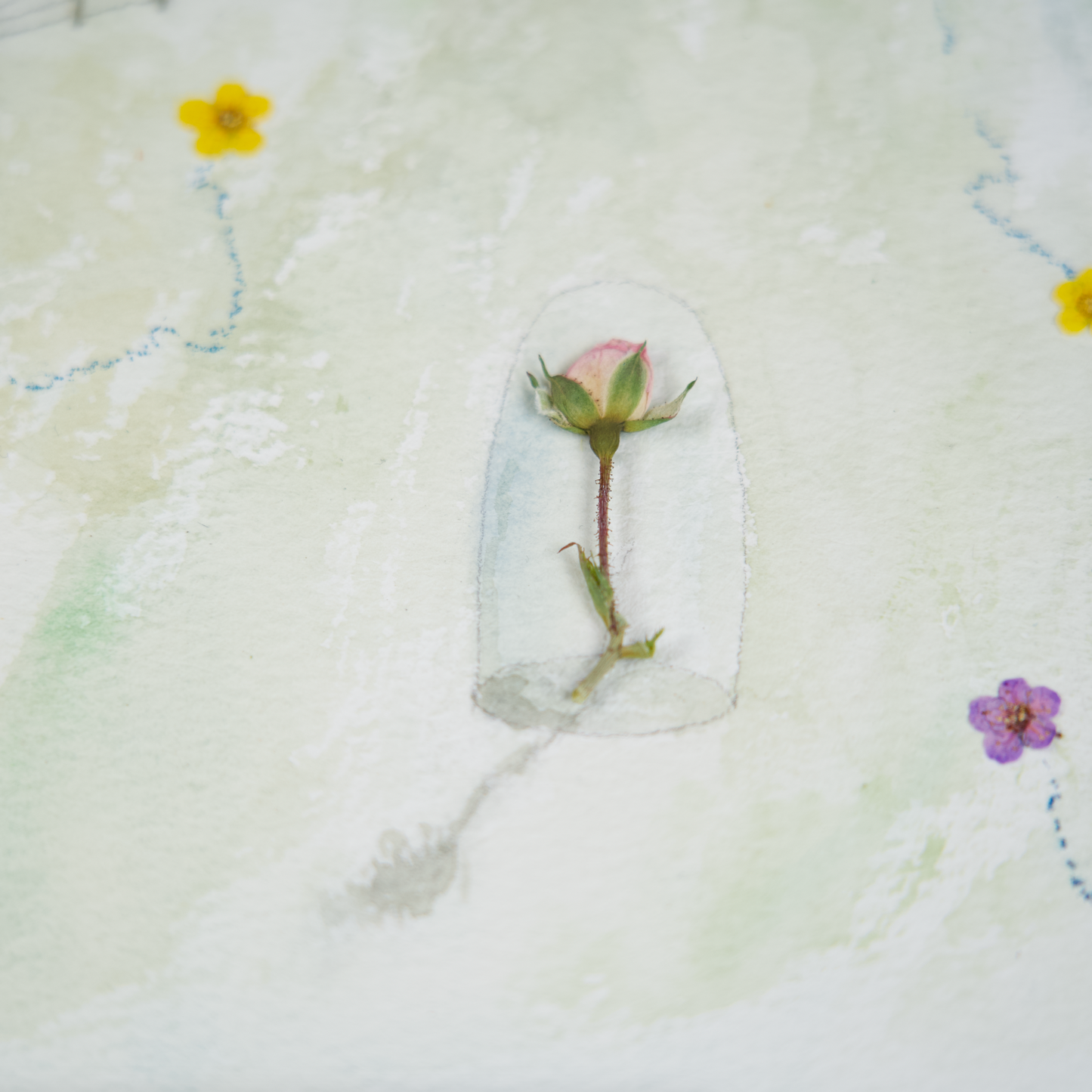 The Little Prince and His Rose Flower Art