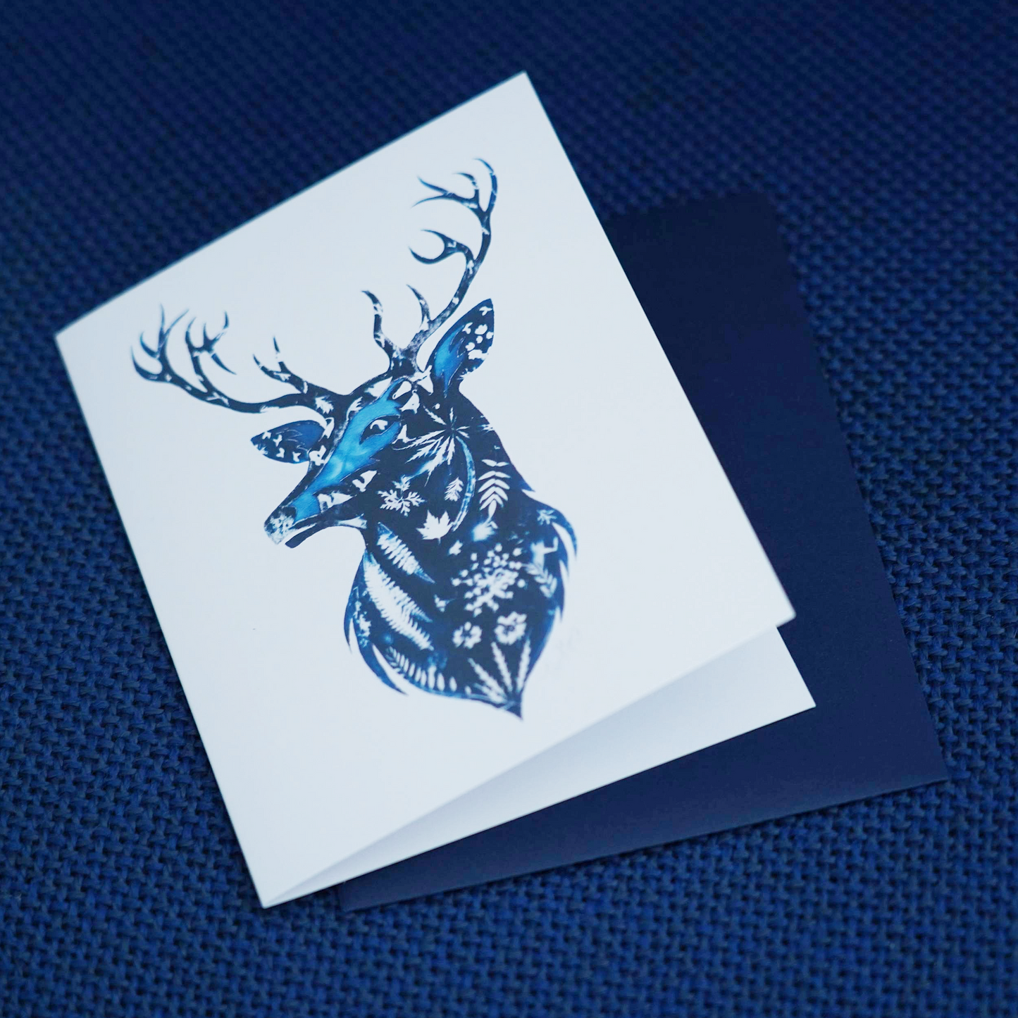 Reindeer