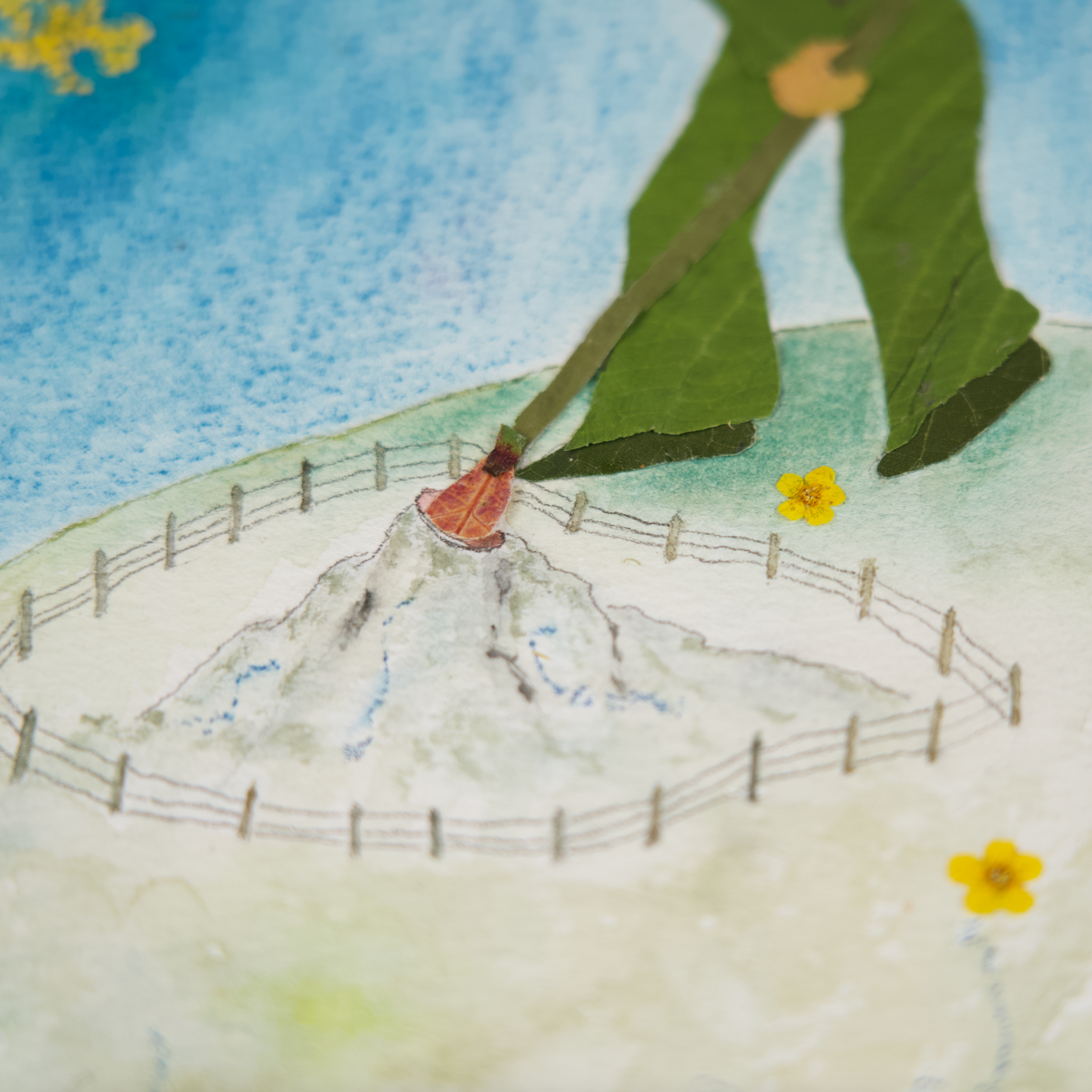 The Little Prince Rake Out His Active Volcano