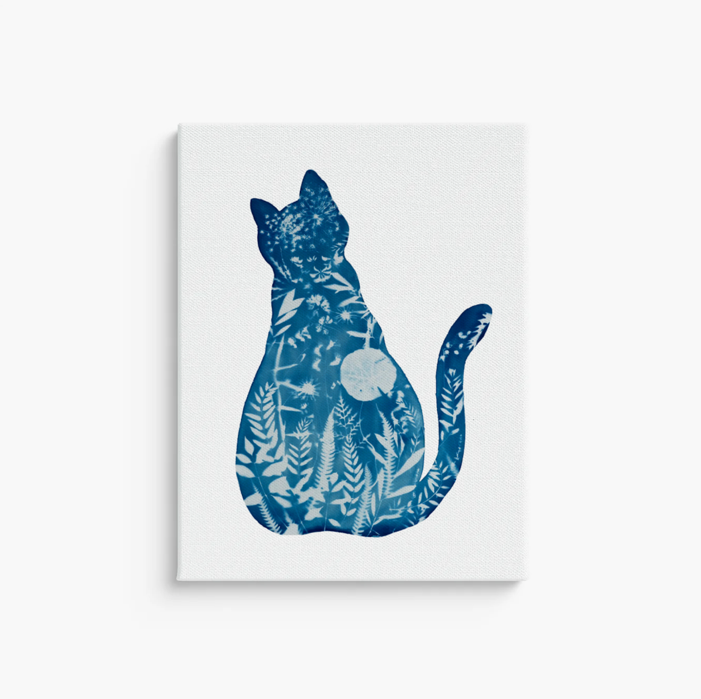 cat cyanotype print