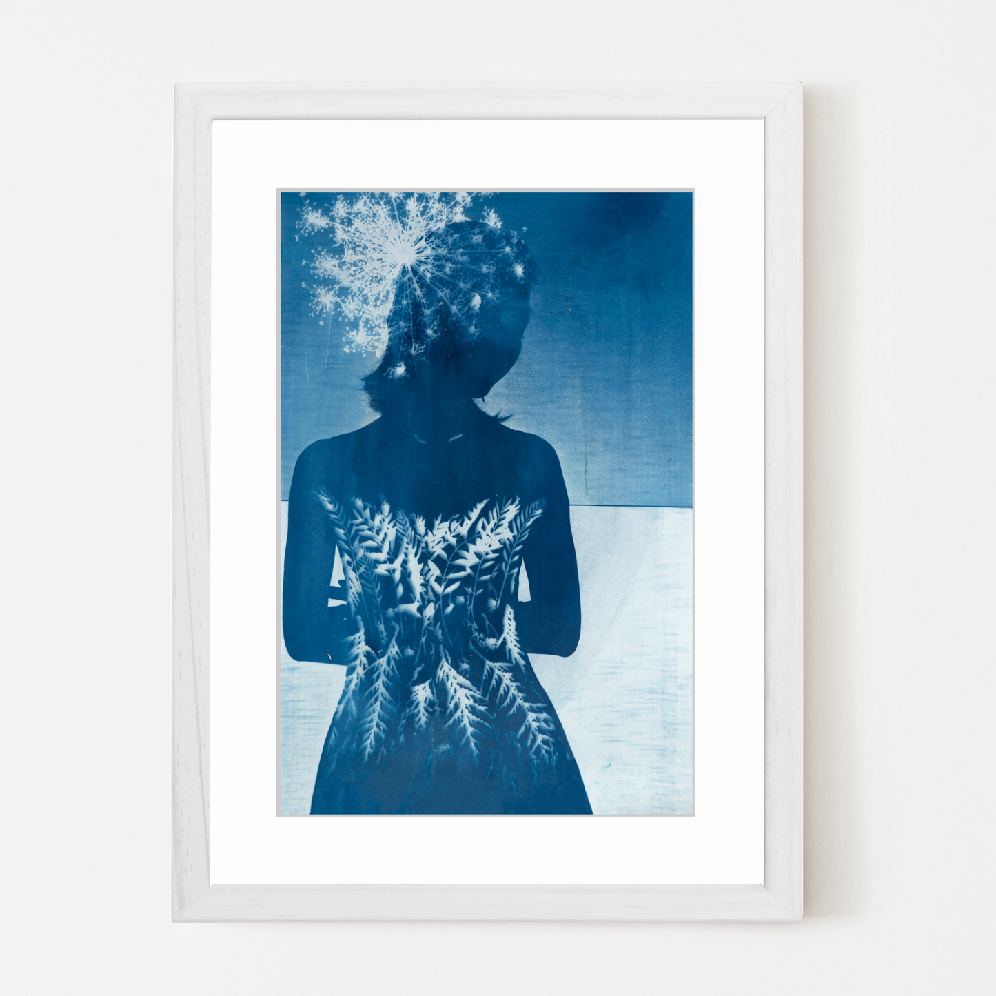 cyanotype sun printing