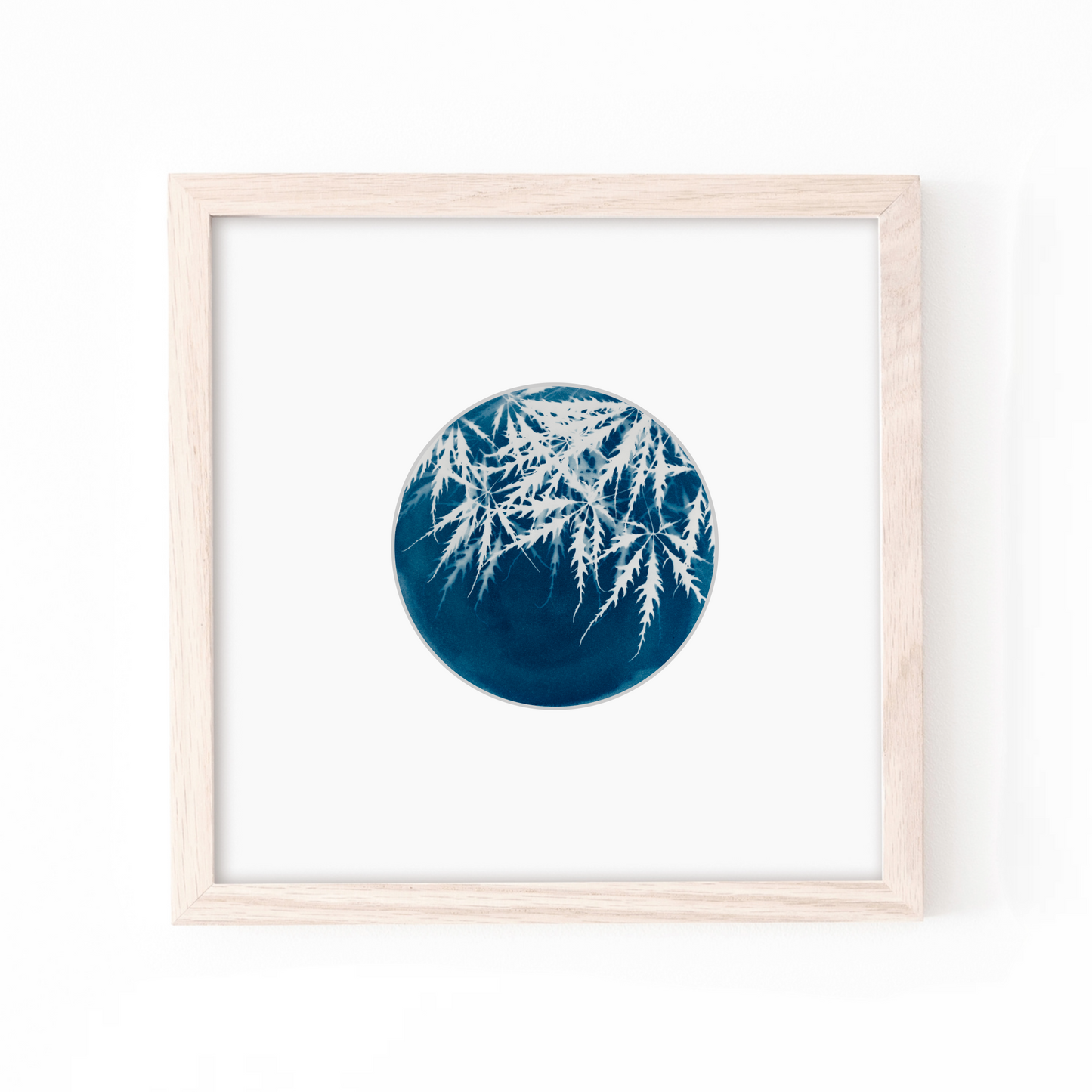 cyanotype sun printing blue art