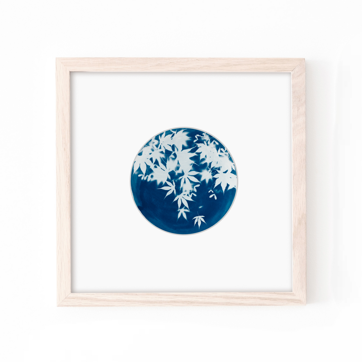 botanical solar print cyanotype