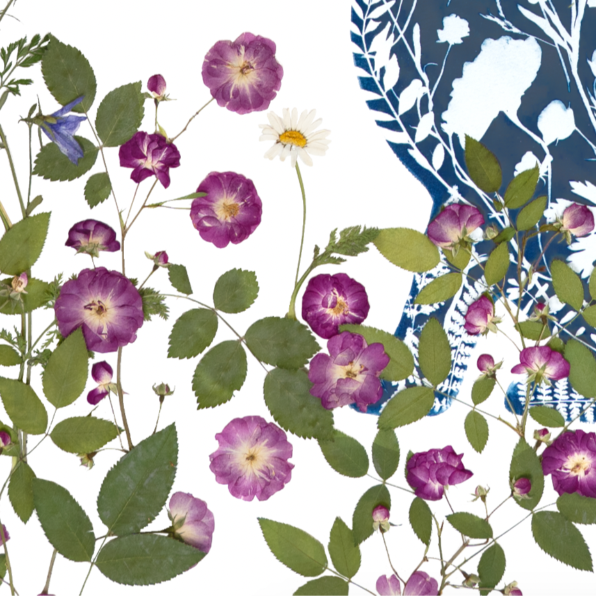 pressed flower art rose