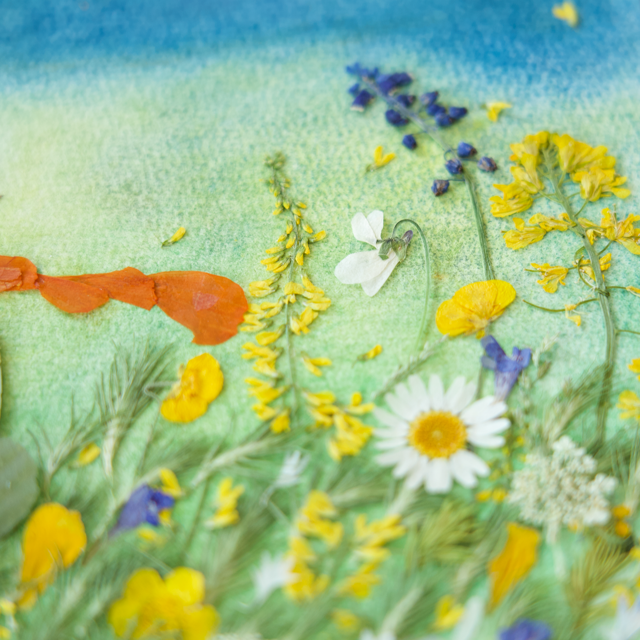 the little prince pressed flower art