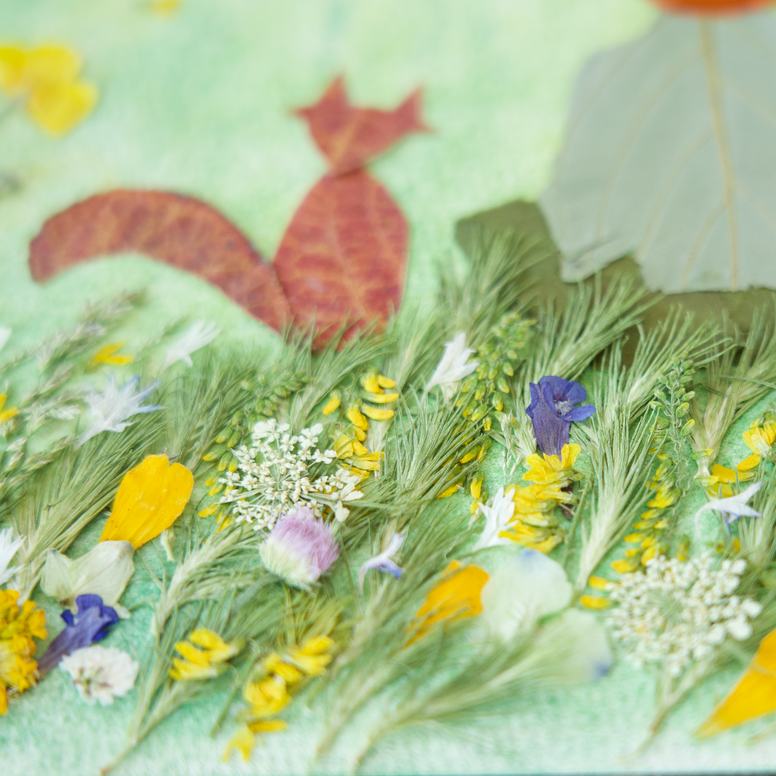 the little prince pressed flower art for kids