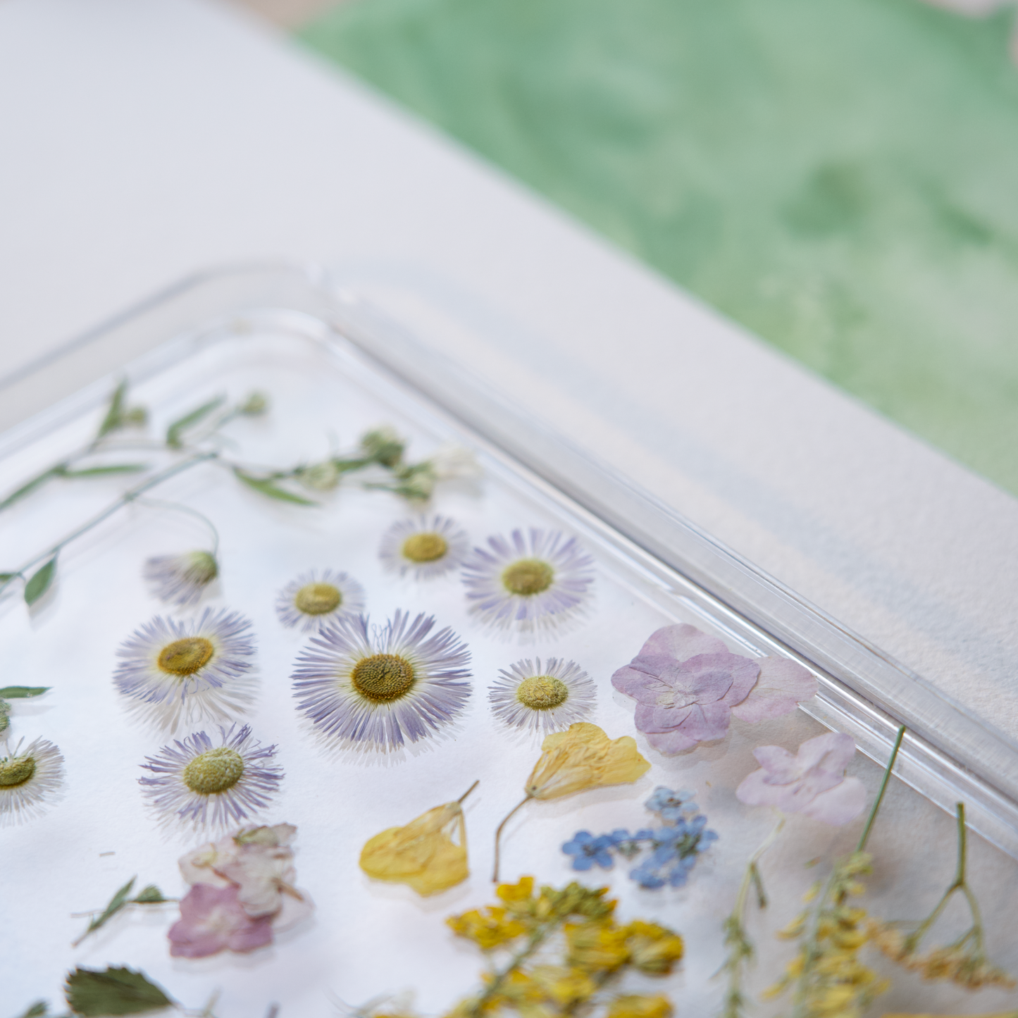 pressed flowers