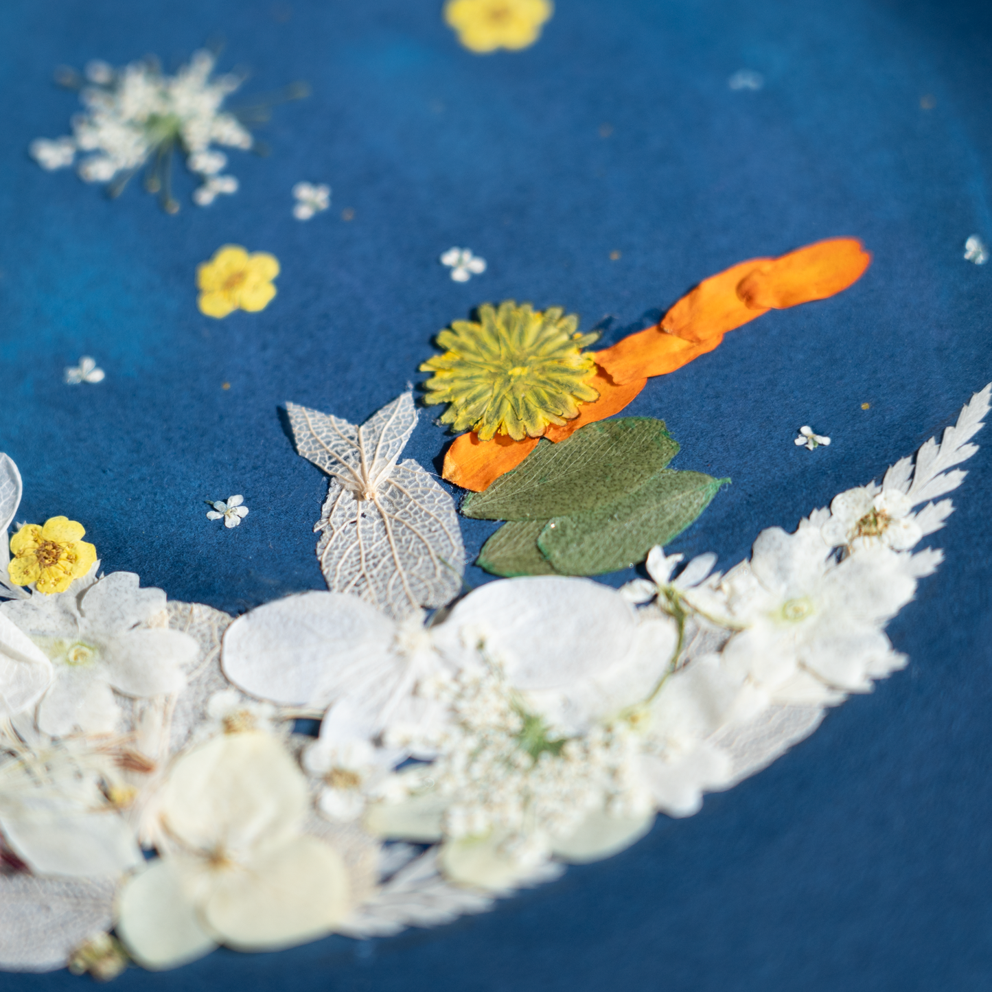 the little prince pressed flower art for nursery room