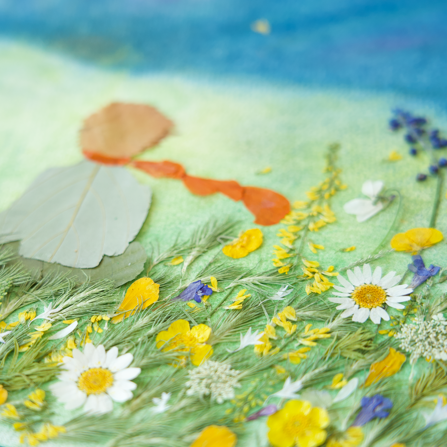 the little prince pressed flower art for children