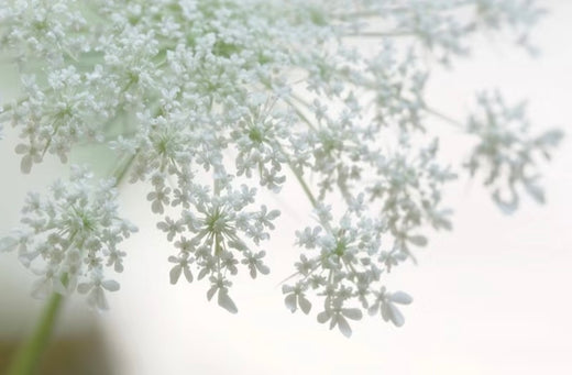 Embracing Our Littleness