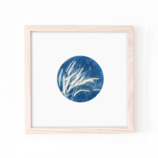 sun printing blue art for your home