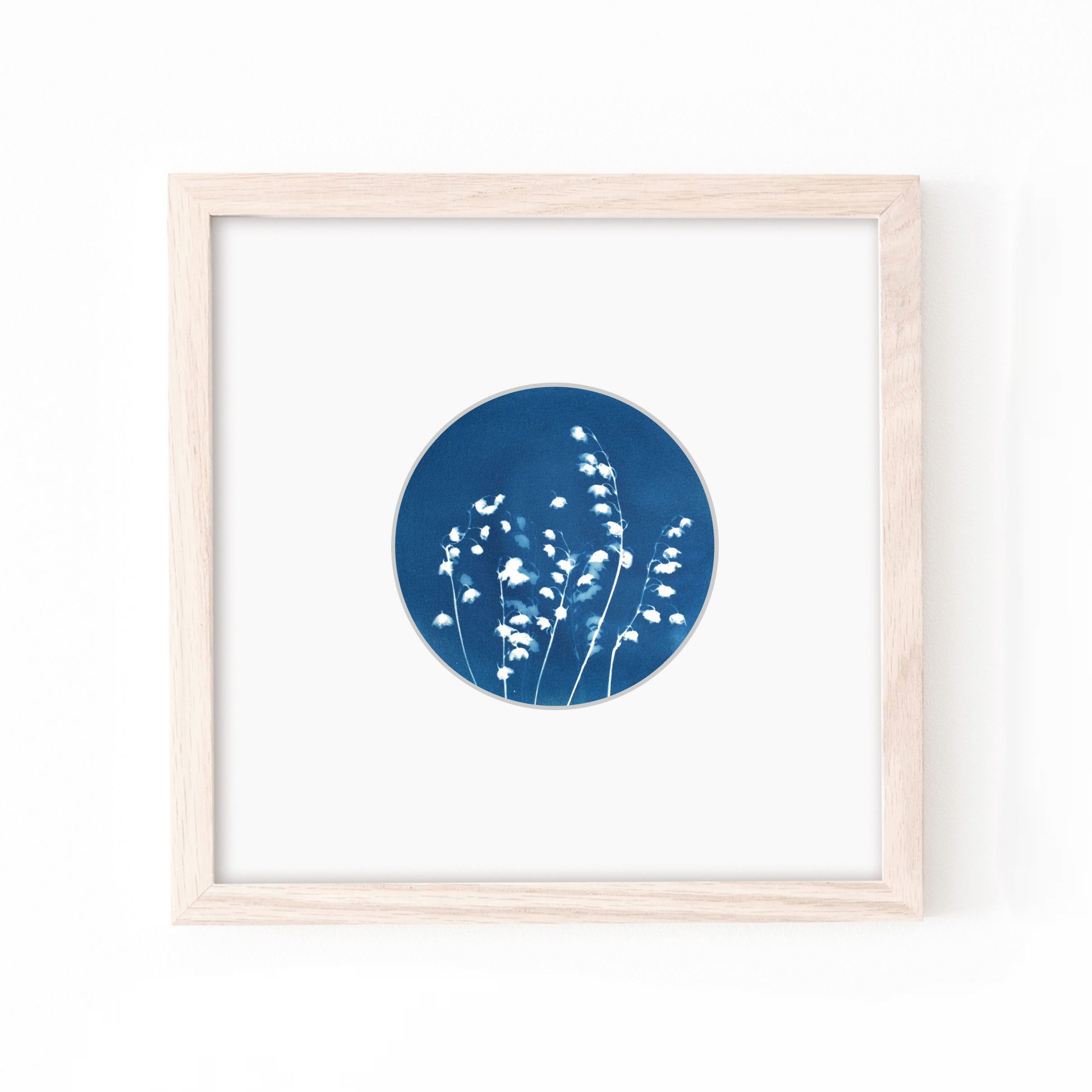 solar printing cyanotype