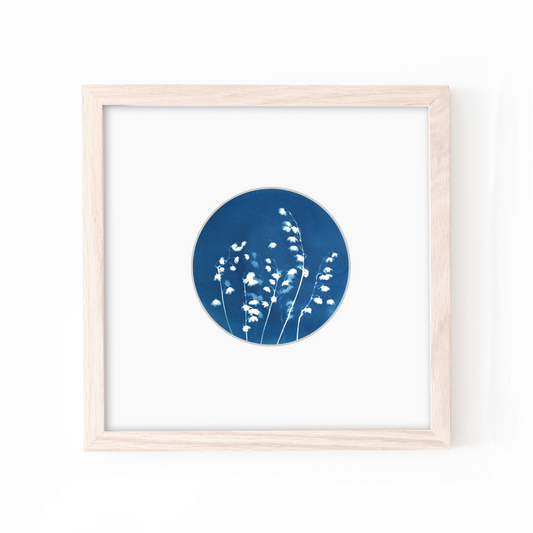 solar printing cyanotype