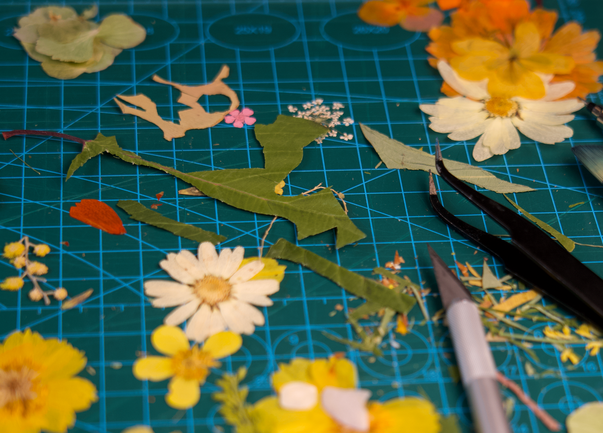 Pressed Flower art for kids