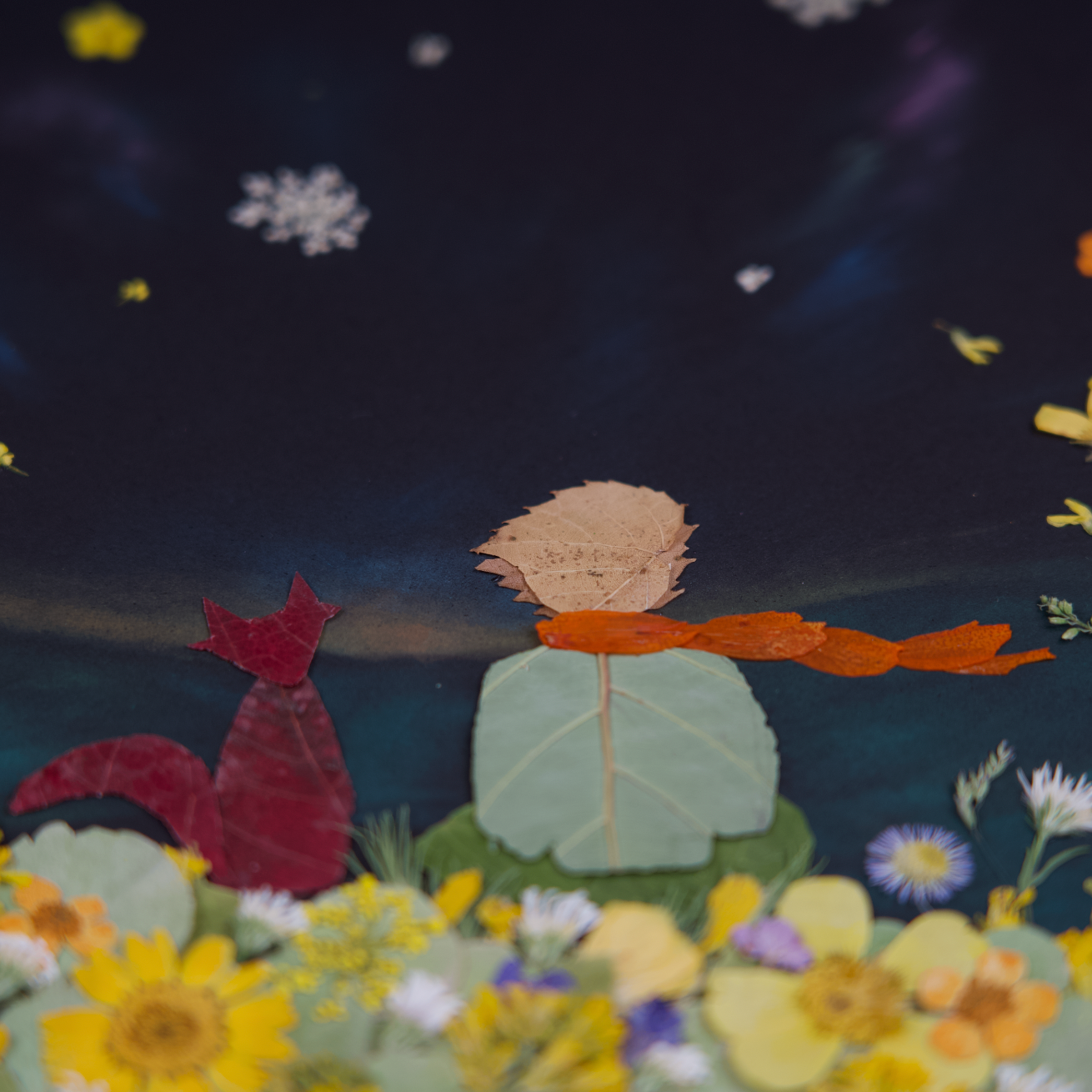 A Night Conversation in the Field II