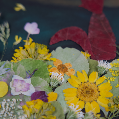 A Night Conversation in the Field II