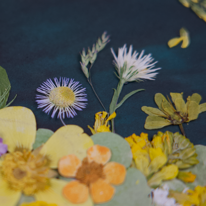 A Night Conversation in the Field II