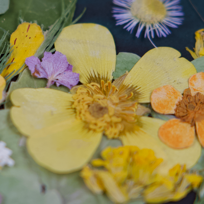 A Night Conversation in the Field II