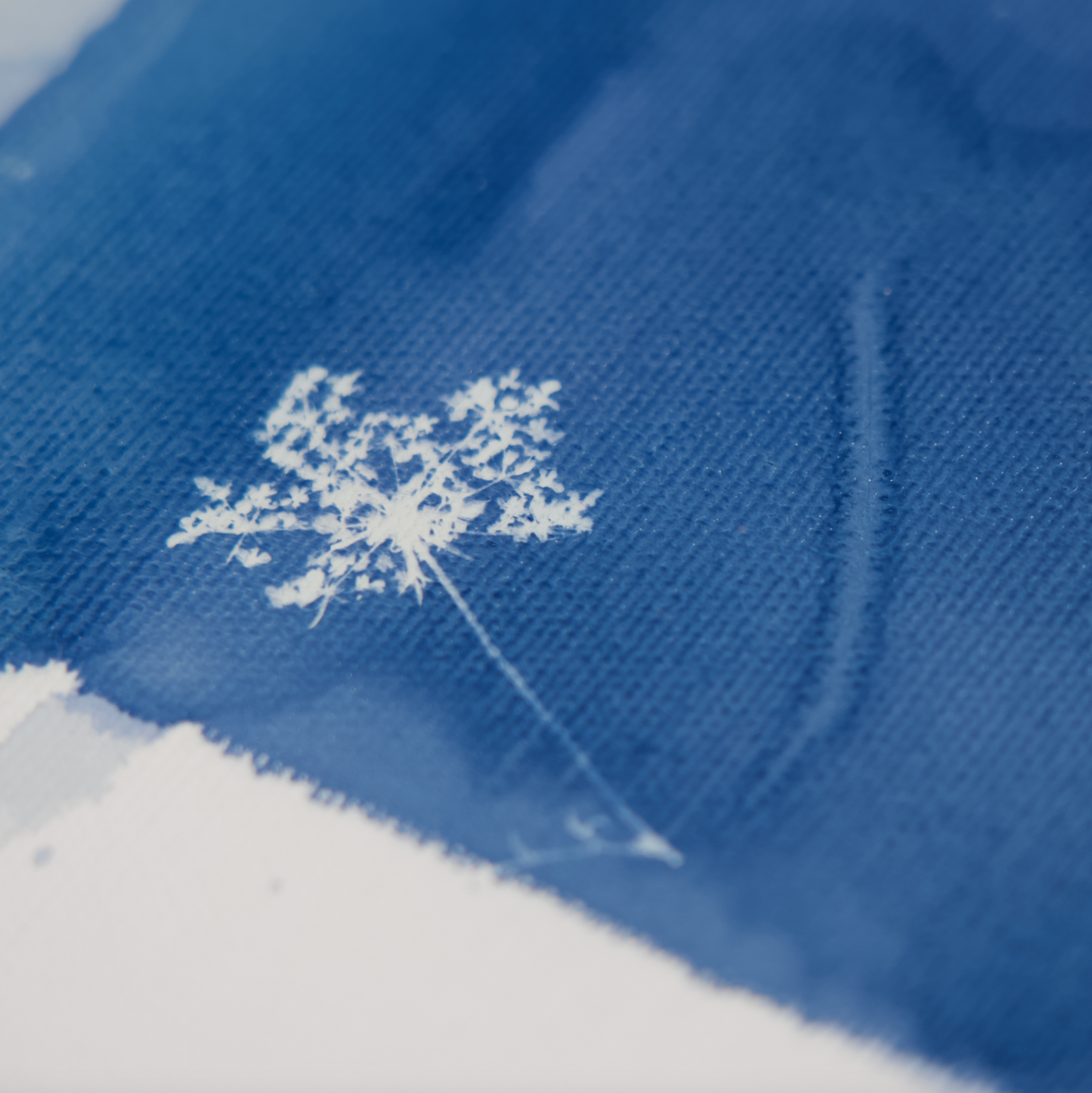 Be Still - Afternoon Light