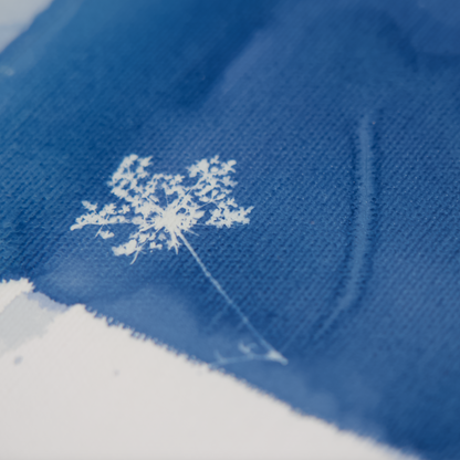 Be Still - Afternoon Light