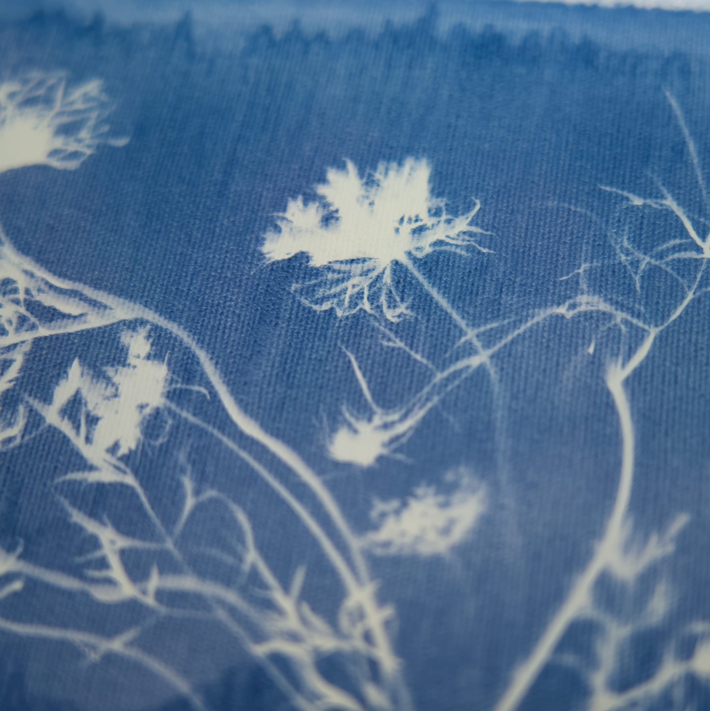 Be Still - Afternoon Light