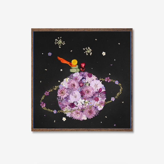 On A Planet _ Magenta