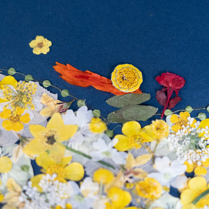 On A Star_ The Little Prince