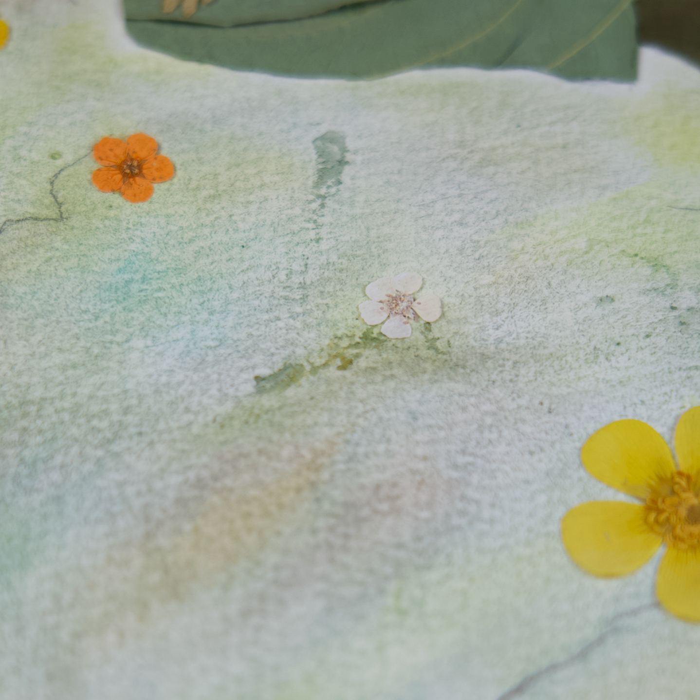 The Little Prince & His Rose