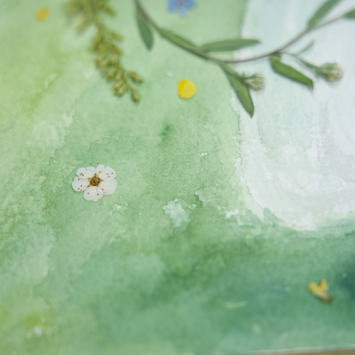 The Flower Girl _ Meadow Walk