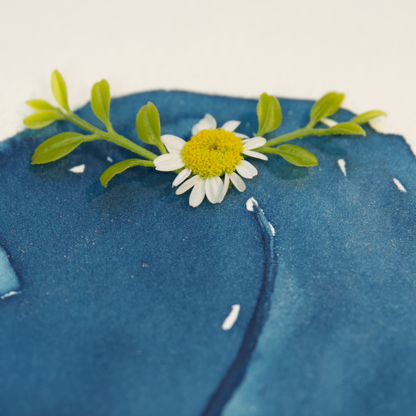 Small Steps, Big Heart