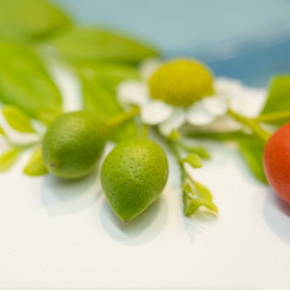 Small Steps, Big Heart