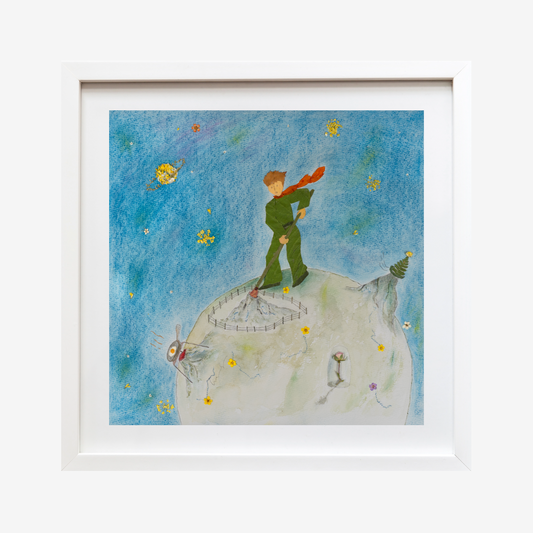 Pressed Flower Art The Little Prince's Volcano