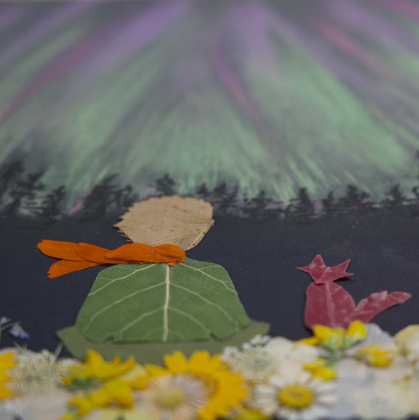 aurora northern lights artwork pressed flower art inspired by The Little Prince
