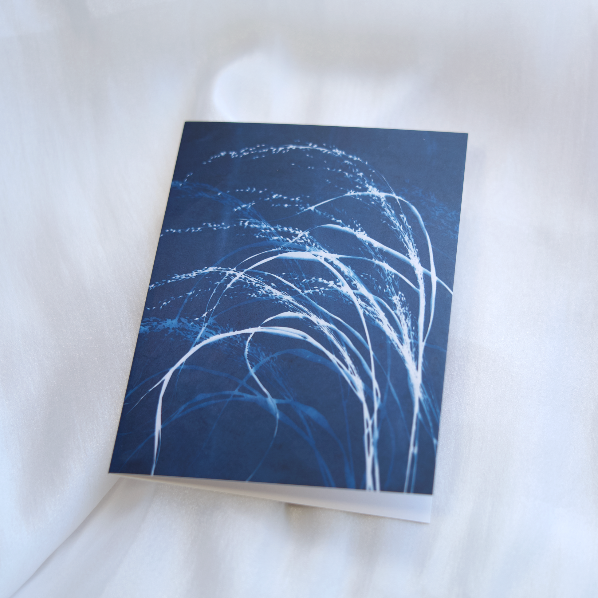 blue art botanical greeting card artistic cards
