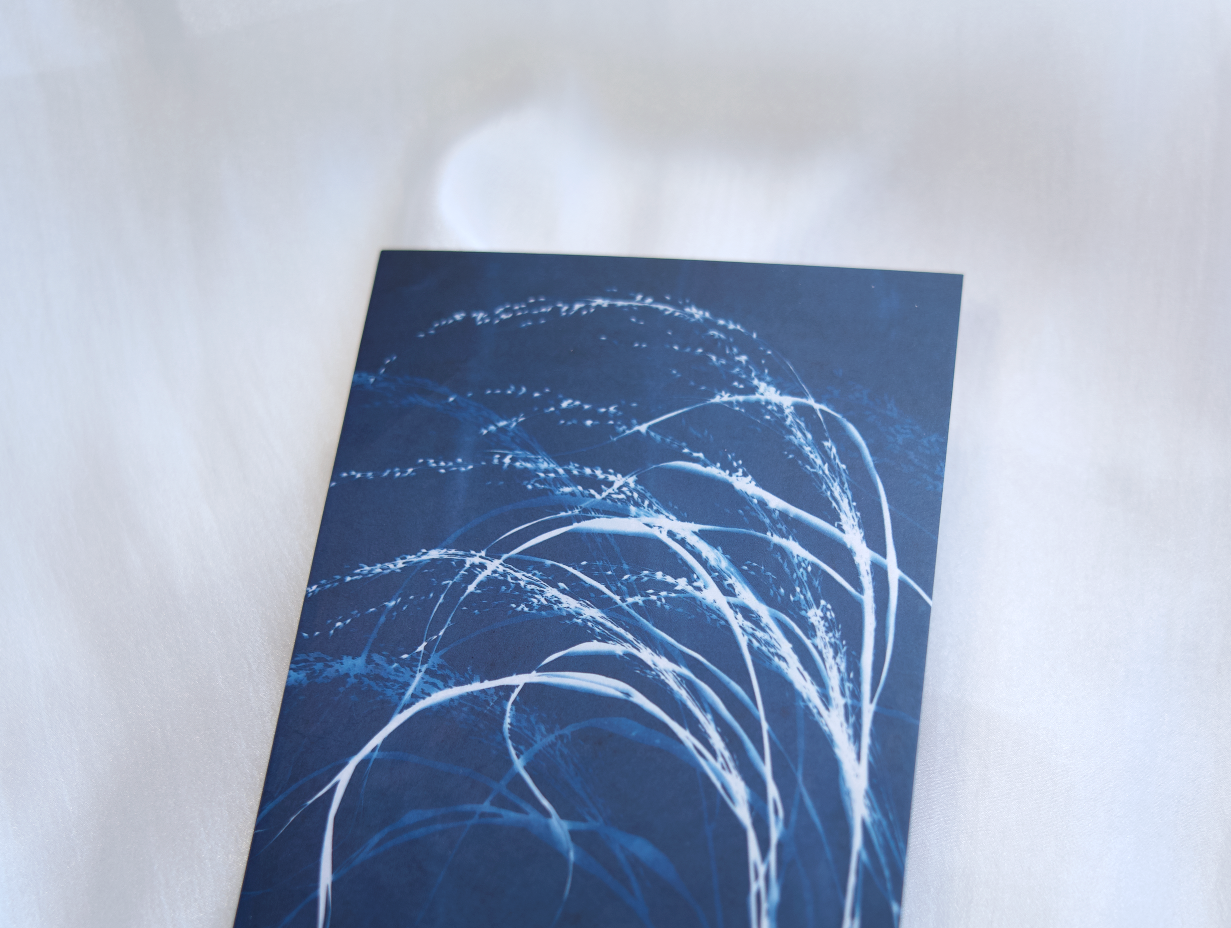 blue art botanical greeting card artistic cards