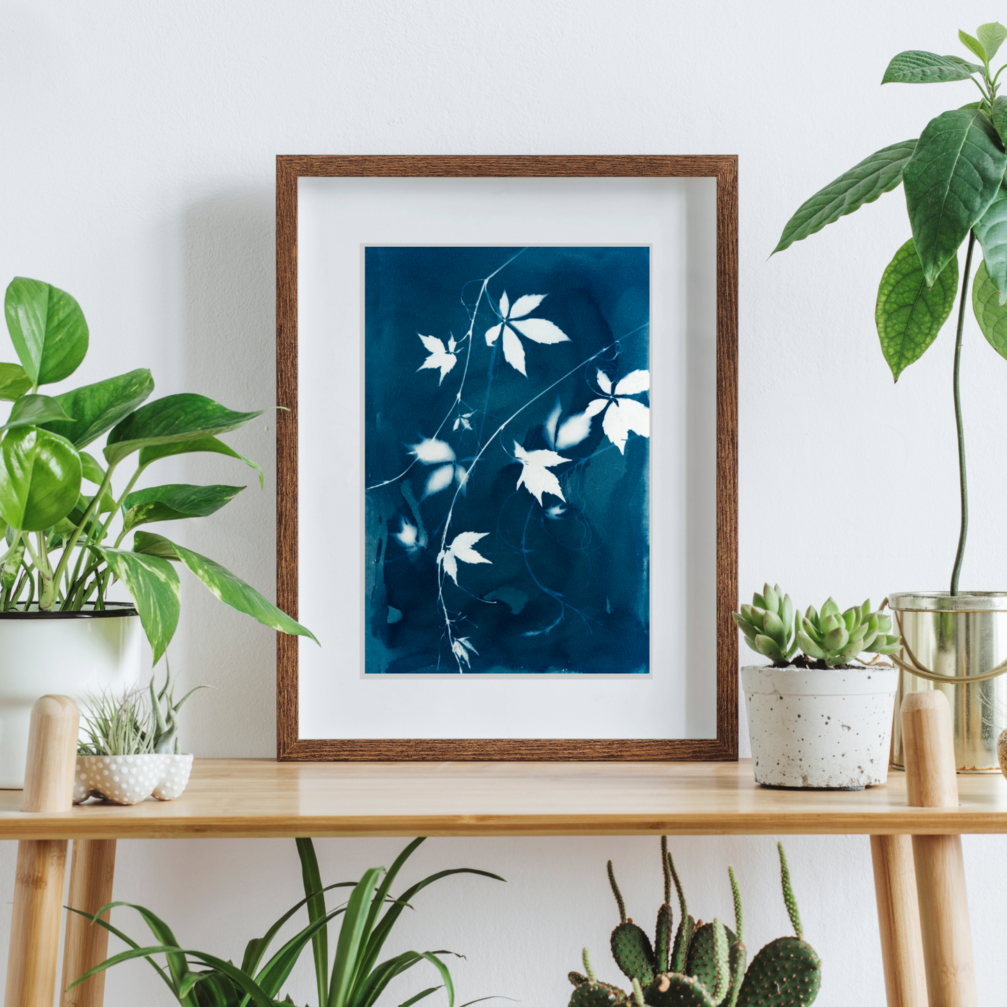 cyanotype sun print
