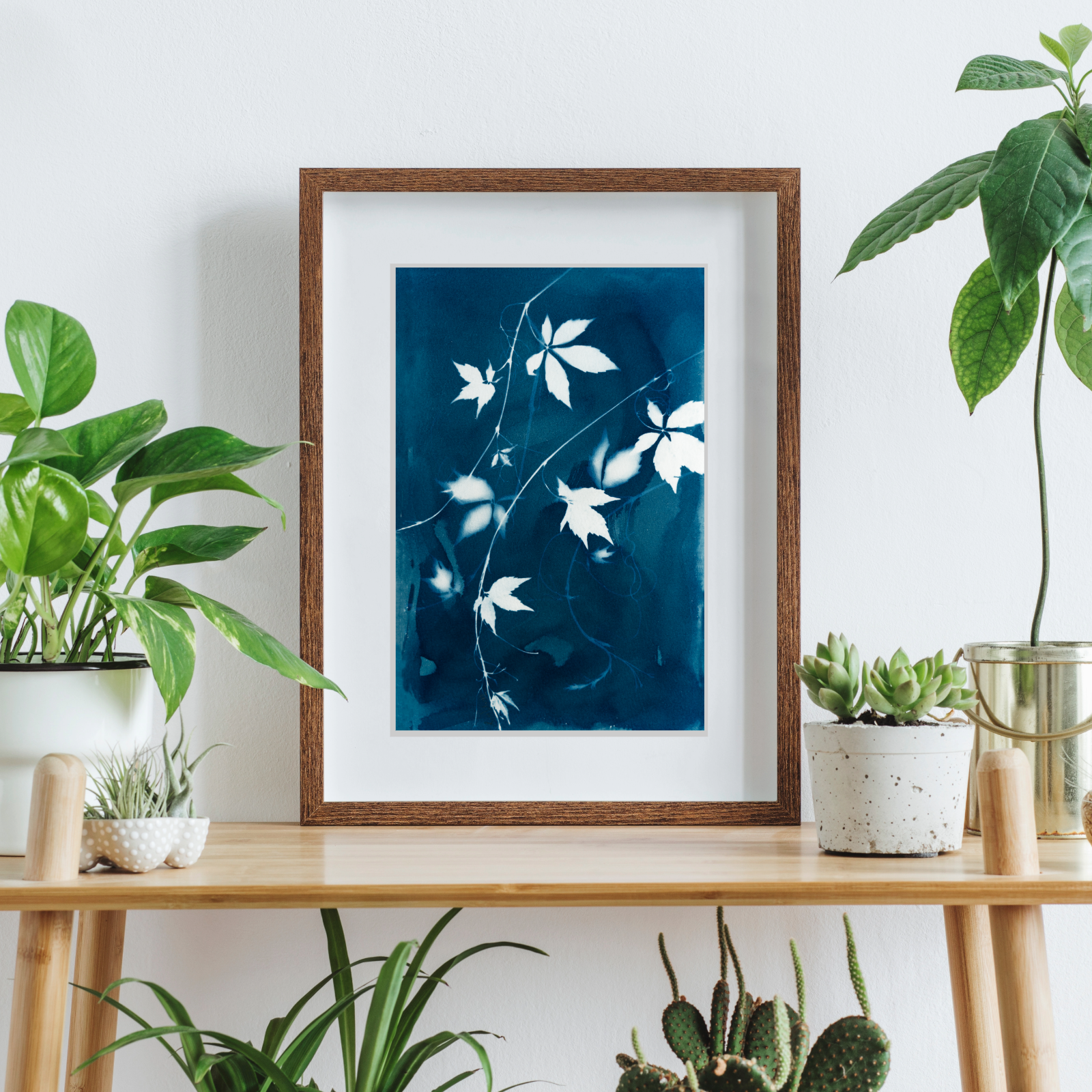 cyanotype sun print