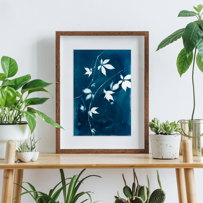 cyanotype sun print