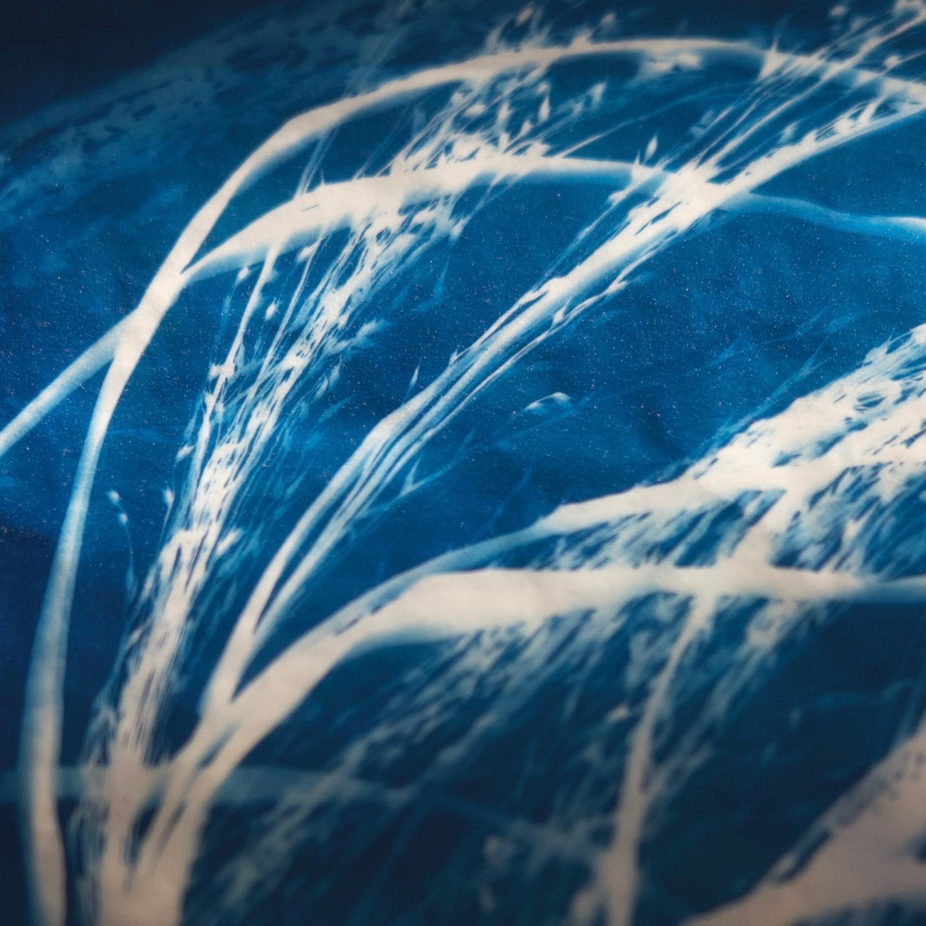 blue botanical art 