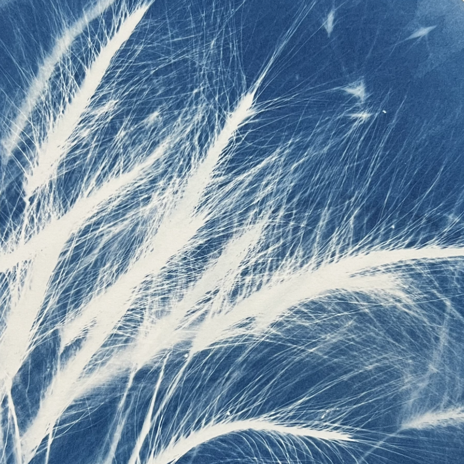 blue artwork
