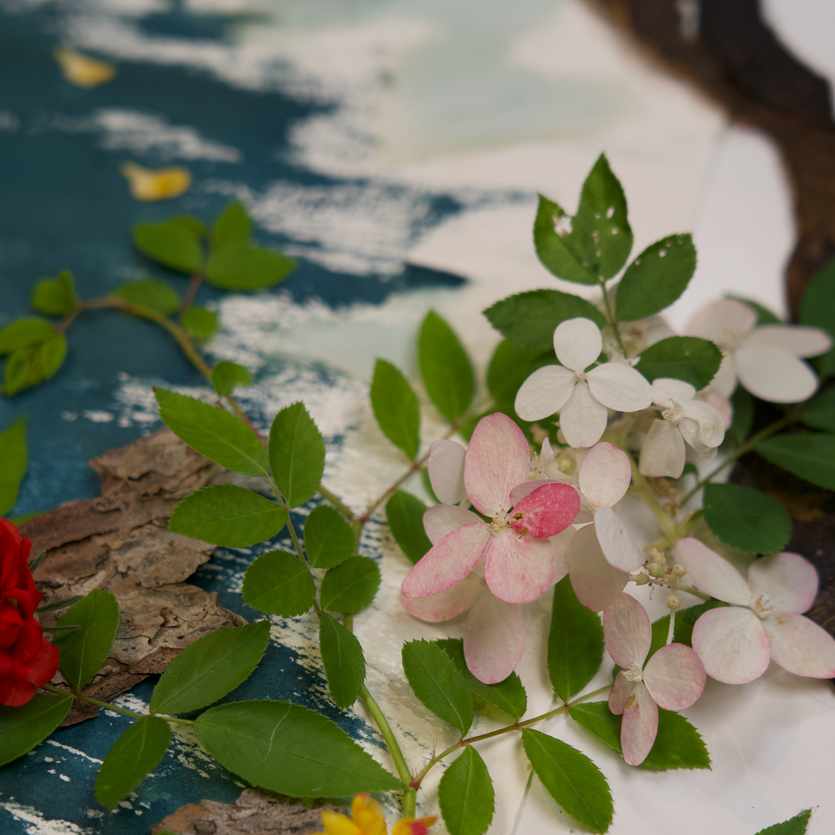 botanical flower art for gardener nature lover