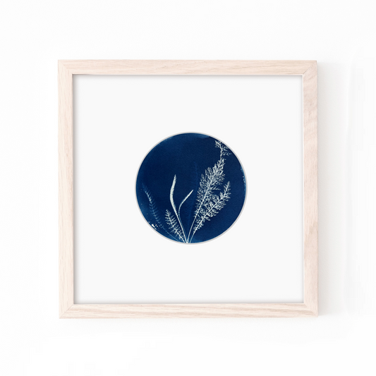 cyanotype sun printing blue art for walls 