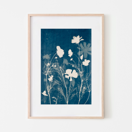 cosmos flower art for mom wife