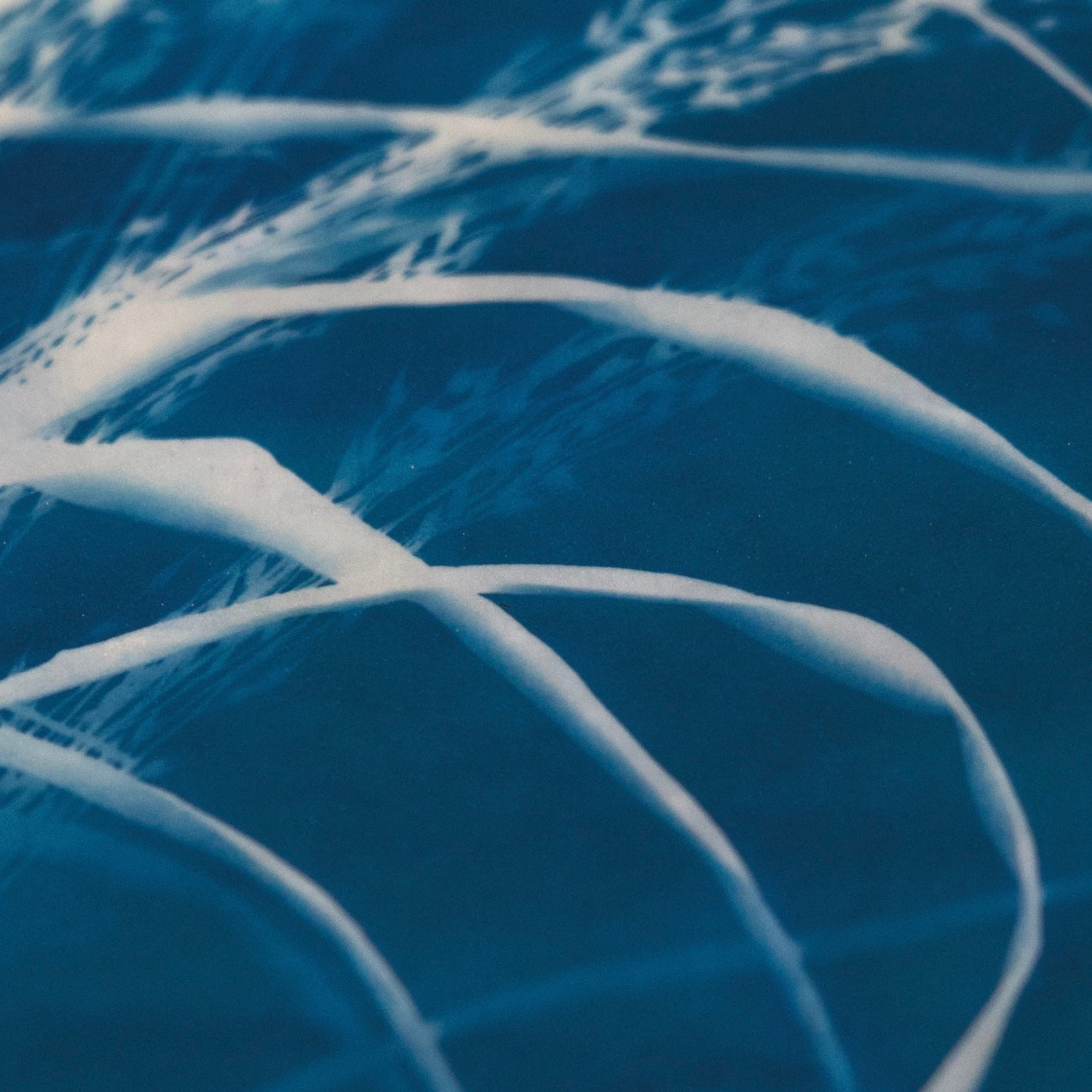cyanotype blue art