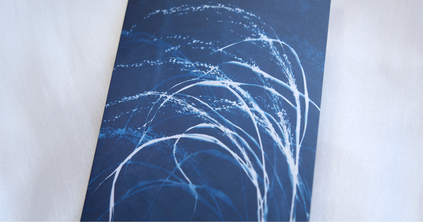 cyanotype blue art botanical greeting card artistic cards