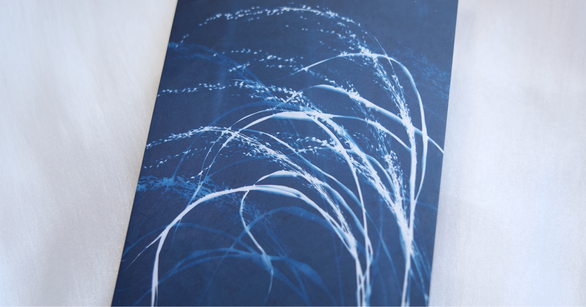 cyanotype blue art botanical greeting card artistic cards
